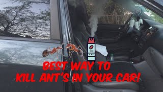 How To Remove Ants From Car Acura MDX [upl. by Krid]