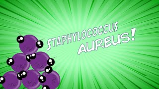 ¡Staphylococcus aureus en 8 minutos [upl. by Ameline408]