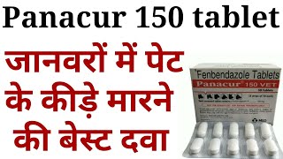 Panacur 150 tablet ke kya fayde haifenbendazole bolus uses in hindiDeworming karne ki tablet [upl. by Neu]