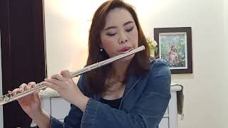 Gabriels Oboe Flute Cover [upl. by Valentino172]