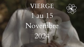 Vierge ♍️ 1 au 15 Novembre 2024  L’Ours  🐻 [upl. by Pacificas]