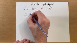 Amide Hydrolysis [upl. by Assiled]