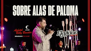 Sobre Alas de Paloma  Billy Bunster En Vivo  CCINTMUSIC [upl. by Griffith]