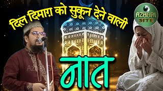 Dr Akhtar Parwaz ki Naat। Muslim Tola Vaishali। trending viral naat video yt ytviral [upl. by Yennaiv]