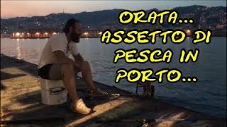 ORATA ASSETTO DI PESCA IN PORTO [upl. by Astto106]