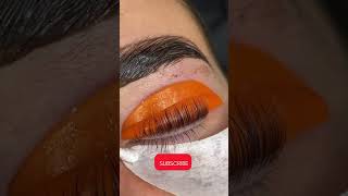 Lash lift tutorial beautiful beauty lashes lashlift shorts youtubeshorts shannonboyleart [upl. by Laryssa]