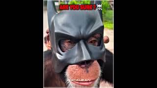 Best Batman Cosplay Moments☠️☠️ [upl. by Puett]