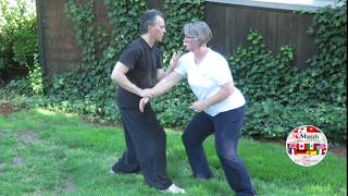 Yangstyle Taijiquan 8 Discframed Pushhands 4 5 amp 6 performed by Jim Madras amp Erica Anderson [upl. by Simonsen627]