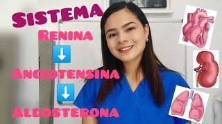 Sistema ReninaAngiotensinaAldosterona 🔁 [upl. by Podvin]