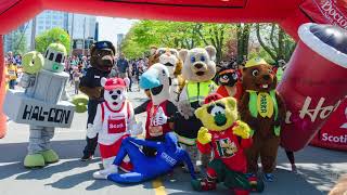 2019 Bluenose Marathon Mascot Race [upl. by Ellehsram]