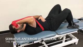 Serratus Anterior Activation Improve your scapular stability [upl. by Jaquelyn498]