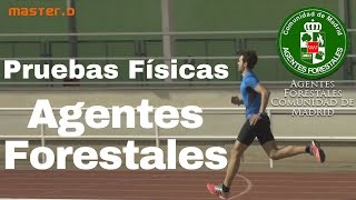 Pruebas Físicas Agentes Forestales 2019  MasterD [upl. by Annael903]