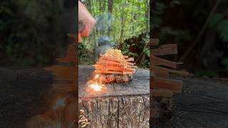 Fatwood Log Cabin  Intense Heat for Damp Kindling  Shorts [upl. by Cordie]