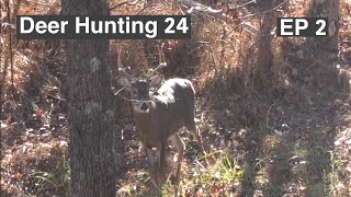 Did I choose the right stand will it pay off hunting deerhunting bowhunting [upl. by Hallimaj]