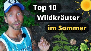 Essbare Wildkräuter im Sommer Meine Top 10 Heilpflanzen inkl Gundermann Brennnessel uvm [upl. by Merrili]