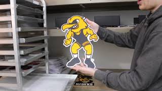 Celebrate Iowa Hawkeye History [upl. by Nudd]