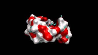 Molecular dynamics simulation of curcuminƔcyclodextrin complex [upl. by Hebrew]