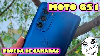 MOTO G51 ¿Logra fotos de calidad Prueba de cámaras  Moto G51 Camera test [upl. by Butler38]