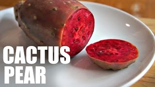 CACTUS PEAR  Prickly Pear Taste Test  FRUITY FRUITS [upl. by Ellenet70]