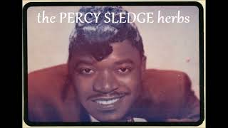 Percy Sledge  Dark End Of The Street Herb Instrumental Reduced By DJBILLYHO [upl. by Artimid]