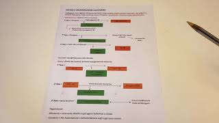 Sintesi e Degradazione del Glicogeno  Biochimica [upl. by Sturdivant]