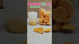 Bengali Dal Bori Vs Ice experiment 🧪🥼 shorts experiment [upl. by Kciv]