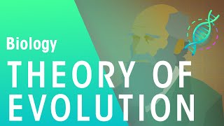 The Theory of Evolution by Natural Selection  Evolution  Biology  FuseSchool [upl. by Lieberman]