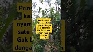 storywa qoutes galautime masukberanda [upl. by Etyak]