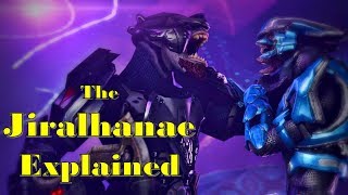 Halo Lore  Morphology of Jiralhanae Brutes  Biology History Covenant Role  Brutes Explained [upl. by Anairda]