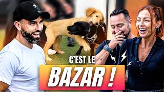 2 Chiots 1 Chat  À LAIDE  😱 ft LatelierdeRoxane [upl. by Arrec]