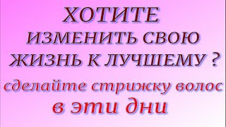 СТРИЖКА ВОЛОС В ДЕКАБРЕ ПО ЛУННОМУ КАЛЕНДАРЮ Самые благоприятные дни в декабре 2023 [upl. by Falk]