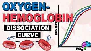 The Oxygen Hemoglobin Dissociation Curve EXPLAINED [upl. by Maritsa]