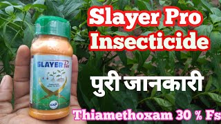 Thiamethoxam 30 fs  Slayer Pro insecticide  gsp crop science [upl. by Held]