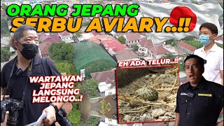 MENDUNIA AVIARY GW KINI JADI SOROTAN NEGERI JEPANG WARTAWAN JEPANG SAMPE MELONGO❗❗ [upl. by Horne]