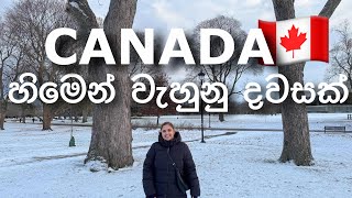 Canada 🇨🇦  හිමෙන් වැහුනු දවසක රවුමක් ❄️  25000 Subscribers canada sinhala srilankan hamilton [upl. by Chee]