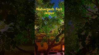 Nahargarh Fort Jaipur Rajasthan Most haunted and instragrammable Place in Rajasthan [upl. by Sadler]