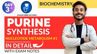 purine synthesis biochemistry  nucleotide metabolism biochemistry  purine nucleotide synthesis [upl. by Langille70]