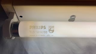 Wickes 2ft 18W  Philips TLD 18W 35 Start Up [upl. by Candice]