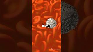 Pinocytosis Explained How Cells Drink cellreproduction science cellformation cellbiology [upl. by Euqinimod]