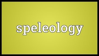 Speleology Meaning [upl. by Ayotol]