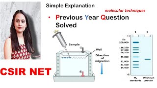 Previous Year Question  Molecular Techniques  Question Solved  CSIR UGC NET [upl. by Aihsat796]