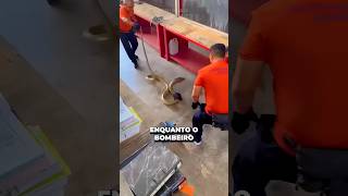 🤔❌ BOMBEIROS CAPTURAM COBRA GIGANTE NA MALÁSIA CRÉDITOS River Monster HunterFB bichoscuriosos [upl. by Oicnaneb381]