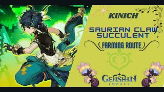 Genshin Impact  Efficient Kinich Material Farming Route [upl. by Cristina259]