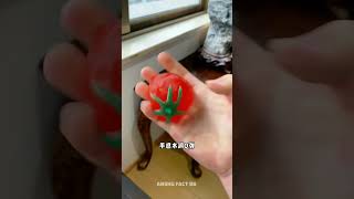 खेत में मिला 😆 mini wood toy woodworking art skill shorts ytshorts [upl. by Nannah124]