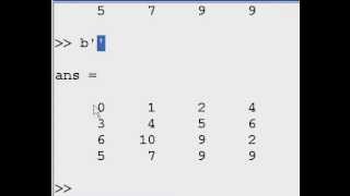 Matlab Reshaping and Transposing [upl. by Jacoba294]