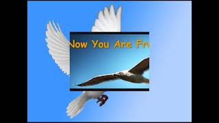 Cover song  Sergey von Wysocki  Now You Are Free  Tyros 5 [upl. by Ardien21]