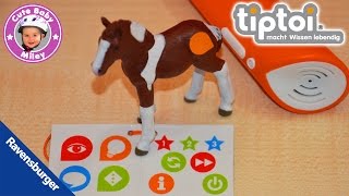 Tiptoi Tiere Ravensburger  Pinto Pferdefohlen Pferd Fohlen Sammy [upl. by Nachison]