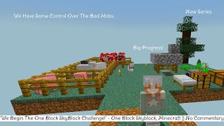 We Begin The One Block SkyBlock Challenge  One Block Skyblock Minecraft  No Commentary [upl. by Sixel]