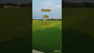 Farmer life apna fermar shortvideos [upl. by Micheil]