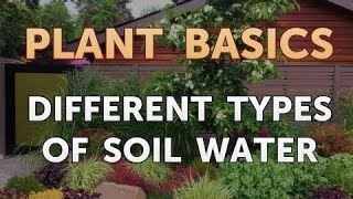 Different Types of Soil Water [upl. by Austen127]